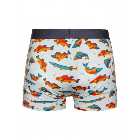 Boxers alegres para homem Dedoles Pisces (GMMT008)