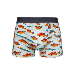 Boxers alegres para homem Dedoles Pisces (GMMT008)