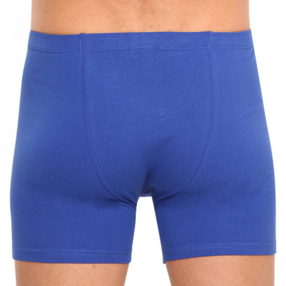 Boxers para homem Gino azul (74140)