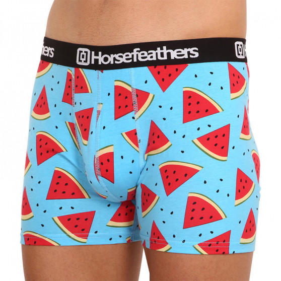 Boxers para homem Horsefeathers Sidney Melon (AM164B)