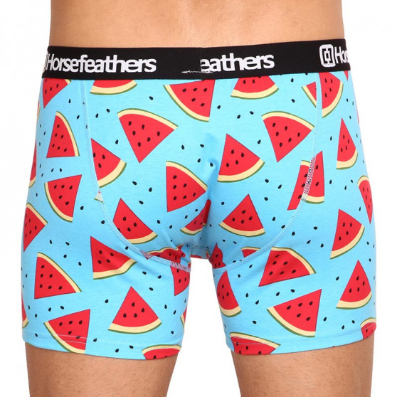 Boxers para homem Horsefeathers Sidney Melon (AM164B)