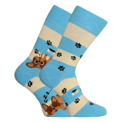 Happy Socks Dedoles Cães e riscas (GMRS123)