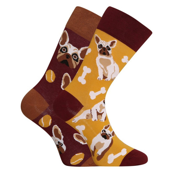 Happy Socks Dedoles Bulldog Francês (GMRS213)