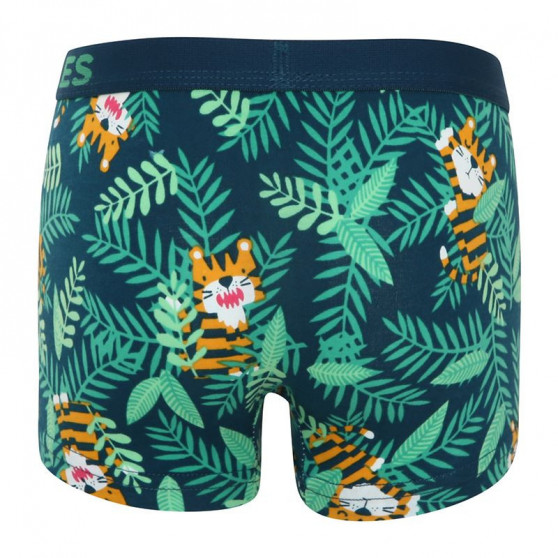 Boxers alegres para rapazes Dedoles Tiger (GMBB047)