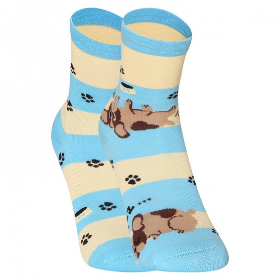 Happy Kids Socks Dedoles Cães e riscas (GMKS123)