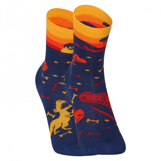 Happy Kids Socks Dedoles Mundo dos Dinossauros (GMKS174)