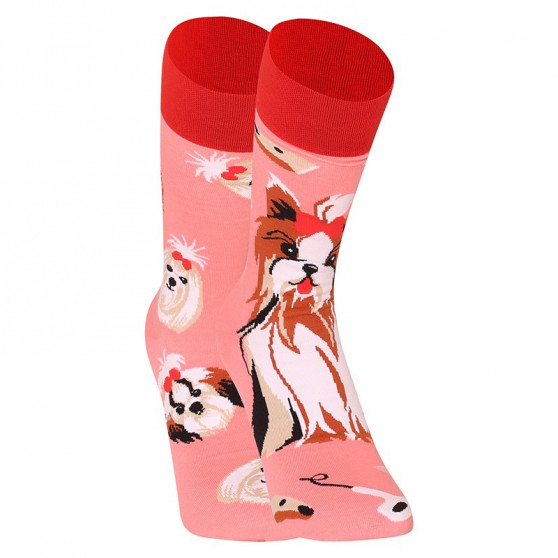 Happy Socks Dedoles Yorkshire Terrier (GMRS215)