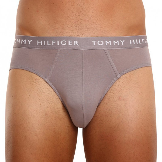 3PACK cuecas para homem Tommy Hilfiger multicolorido (UM0UM02206 0TG)