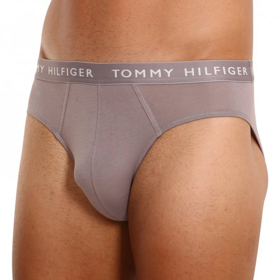 3PACK cuecas para homem Tommy Hilfiger multicolorido (UM0UM02206 0TG)