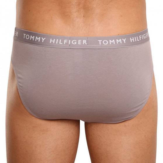 3PACK cuecas para homem Tommy Hilfiger multicolorido (UM0UM02206 0TG)