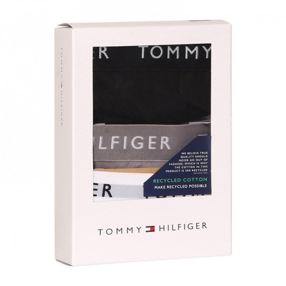 3PACK cuecas para homem Tommy Hilfiger multicolorido (UM0UM02206 0TG)