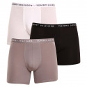 3PACK Boxers para homem Tommy Hilfiger multicolorido (UM0UM02204 0TG)