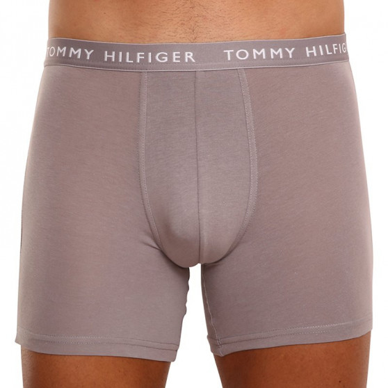 3PACK Boxers para homem Tommy Hilfiger multicolorido (UM0UM02204 0TG)