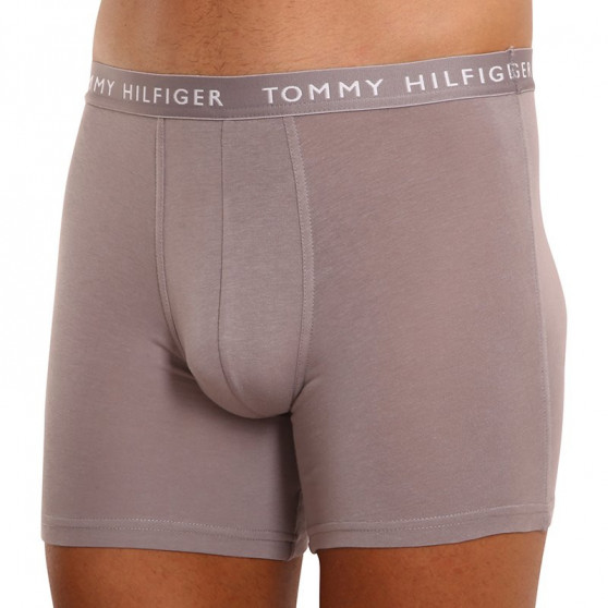 3PACK Boxers para homem Tommy Hilfiger multicolorido (UM0UM02204 0TG)