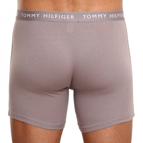 3PACK Boxers para homem Tommy Hilfiger multicolorido (UM0UM02204 0TG)