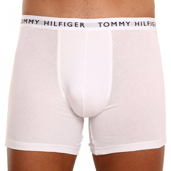 3PACK Boxers para homem Tommy Hilfiger multicolorido (UM0UM02204 0TG)