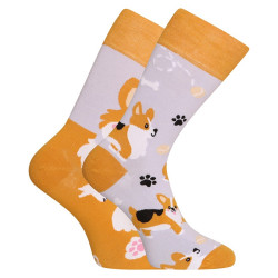 Happy Socks Dedoles Cão Corgi (GMRS241)