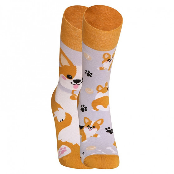 Happy Socks Dedoles Cão Corgi (GMRS241)