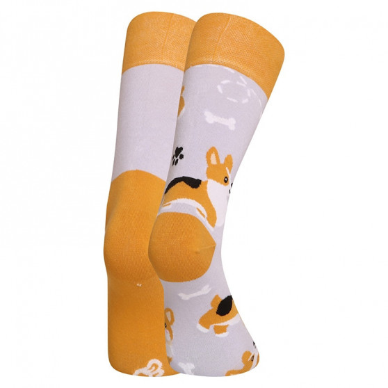 Happy Socks Dedoles Cão Corgi (GMRS241)