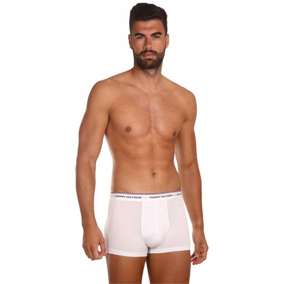 3PACK Boxers para homem Tommy Hilfiger multicolorido (1U87903842 004)