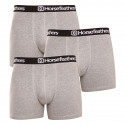 3PACK Boxers para homem Horsefeathers Dynasty heather gray (AM067C)