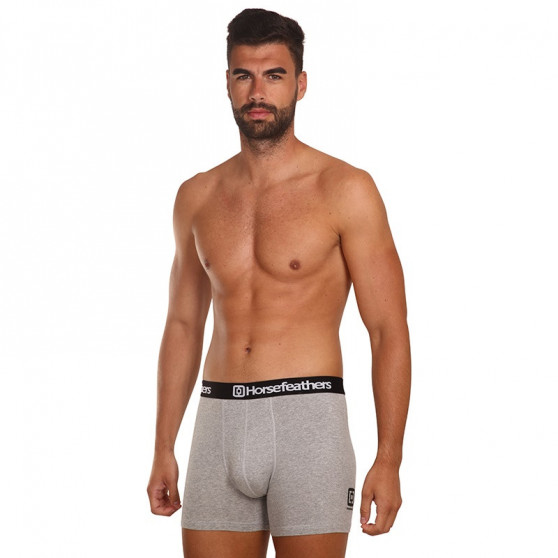 3PACK Boxers para homem Horsefeathers Dynasty heather gray (AM067C)