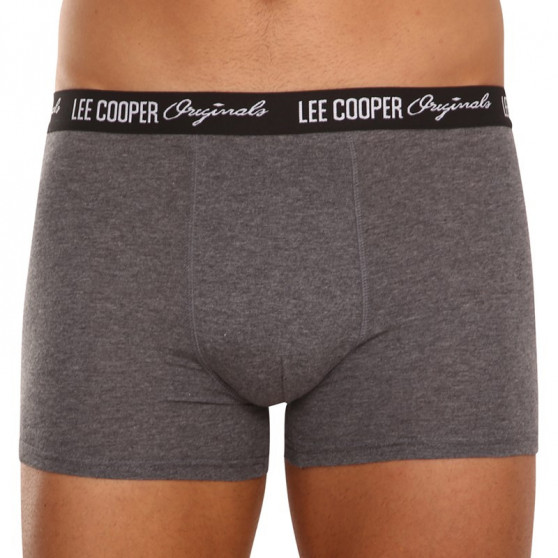 10PACK Boxers para homem Lee Cooper multicolorido (LCUBOX10P0102-1440169)