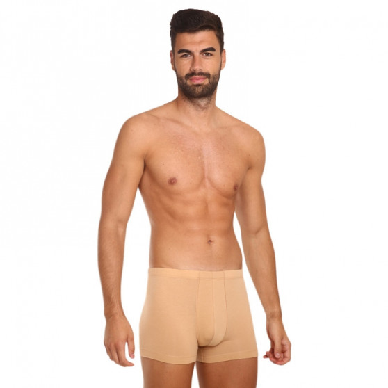 Boxers invisíveis para homem Covert bege (153096-410)