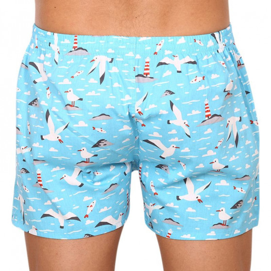 Boxers alegres para homem Dedoles Seagull (D-M-UN-LB-C-C-1459)