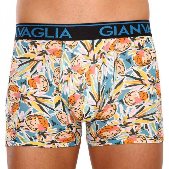 3PACK Boxers para homem Gianvaglia multicolorido (GVG-5502)