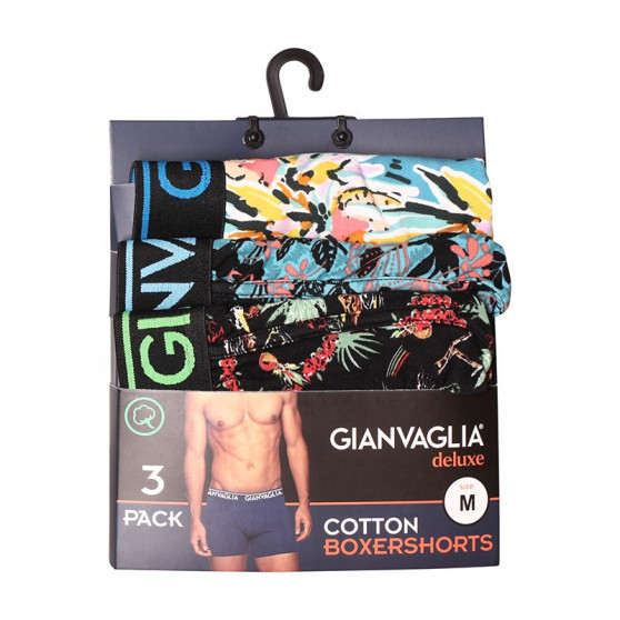 3PACK Boxers para homem Gianvaglia multicolorido (GVG-5502)