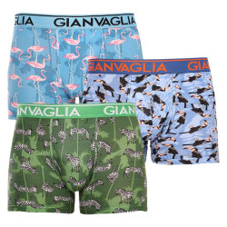 3PACK Boxers para homem Gianvaglia multicolorido (GVG-5501)