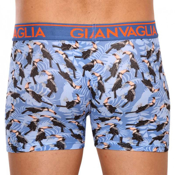 3PACK Boxers para homem Gianvaglia multicolorido (GVG-5501)