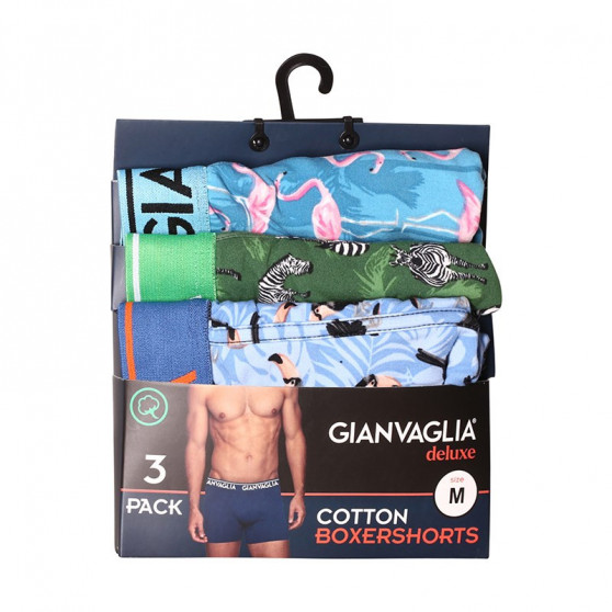 3PACK Boxers para homem Gianvaglia multicolorido (GVG-5501)