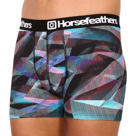 Boxers para homem Horsefeathers Sidney Glitch (AM164E)