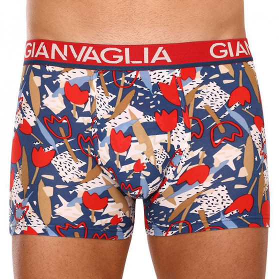 5PACK Boxers para homem Gianvaglia multicolorido (GVG-5063)