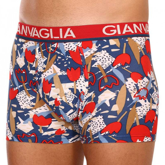 5PACK Boxers para homem Gianvaglia multicolorido (GVG-5063)