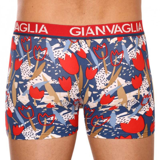 5PACK Boxers para homem Gianvaglia multicolorido (GVG-5063)