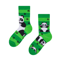 Meias para bebés felizes Dedoles Pandas e cintos (D-K-SC-RS-C-C-249)