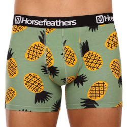 Boxers para homem Horsefeathers Sidney Pineapple (AM164G)