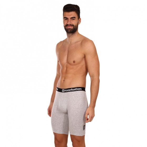 3PACK Boxers para homem Horsefeathers Dynasty long (AM195C)