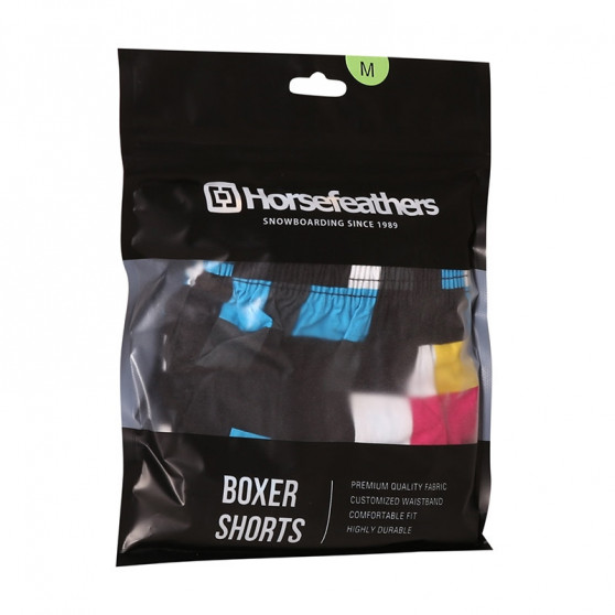 Boxers para homem Horsefeathers Manny Cmyk check (AM167D)