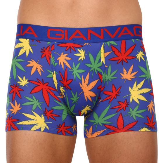 Boxers para homem Gianvaglia multicolorido (GVG-5058-blue)