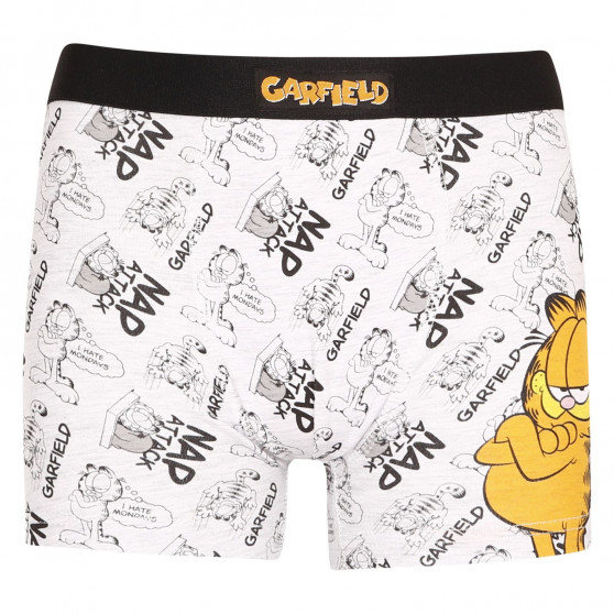 2PACK Boxers para rapaz E plus M Garfield multicolorido (52 33 110/080)