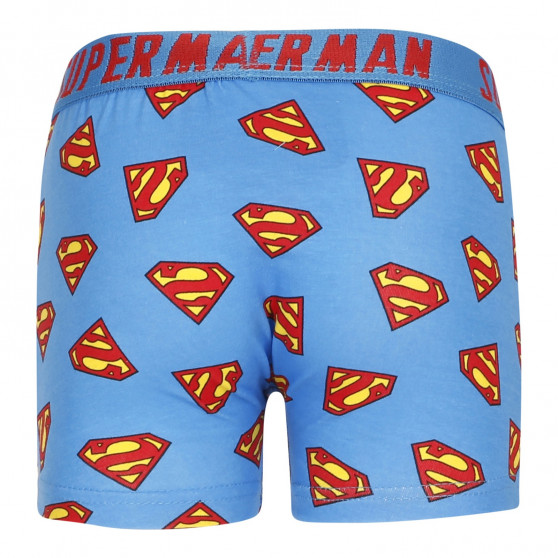 2PACK Boxers para rapaz E plus M Superman multicolorido (52 33 239/296)