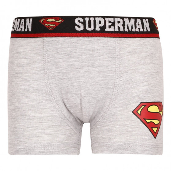 2PACK Boxers para rapaz E plus M Superman multicolorido (52 33 239/296)