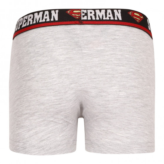 2PACK Boxers para rapaz E plus M Superman multicolorido (52 33 239/296)