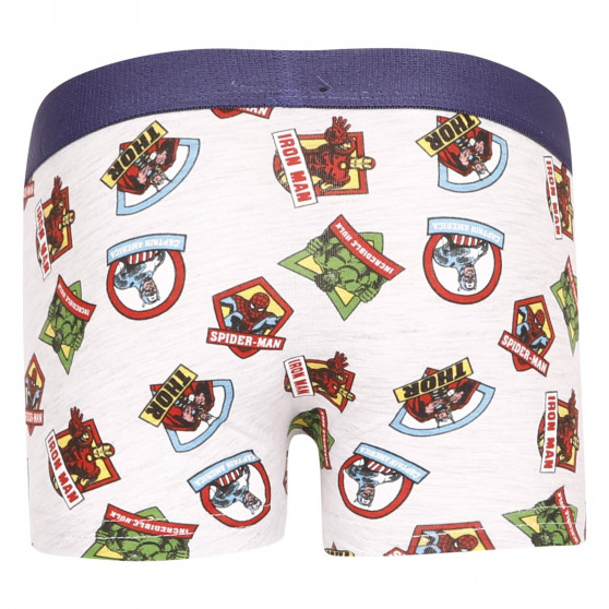 2PACK Boxers para rapaz E plus M Marvel multicolorido (52 33 307/333)