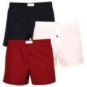 3PACK Boxers para homem Tommy Hilfiger multicolorido (UM0UM02848 0WE)