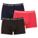 3PACK Boxers para homem Tommy Hilfiger multicolorido (UM0UM02850 0T0)